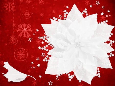 Merry Christmas - poinsettia, white, Christmas, red