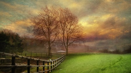 textured photo of grazing meadow - fence, trees, meadow, photo, texture, grass