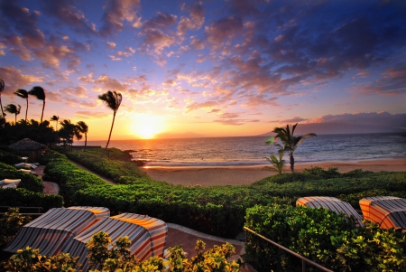 Wailea Sunset Hawaii - beach, wailea, trees, paradise, sunset, hawaii, polynesia, view, evening, holiday, lagoon, sand, dusk, ocean, islands, tropical, palm, exotic, maui, island, hawaiian, sea