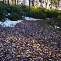 Autumn Nature Trail