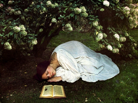 Dreamer - women, sleeping, flower tree, book, grass