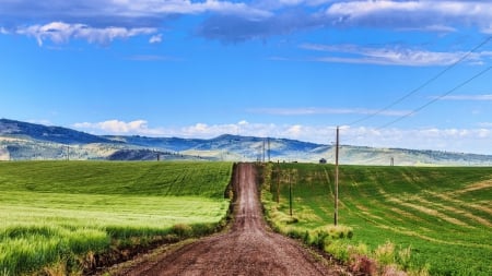 wavy dirt road among fields - sky, road, fields, waves, dirt