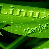 Linux Manjaro