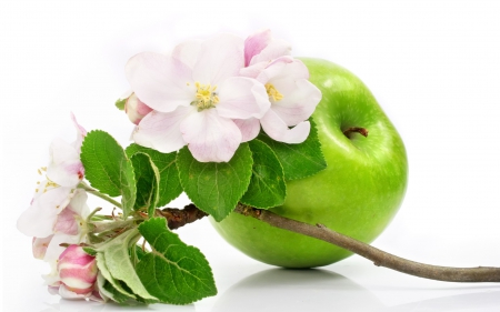 ~ Green Apple ~ - gentle, fruit, green, blosom, ood, fr, food, photo, apple, flower