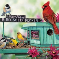 Bertie\'s Bird Seed Fly-In