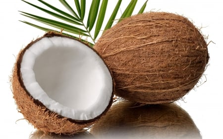 Coconut - coconut, nuts, healthy, fruits, photography, food, photo, fruit