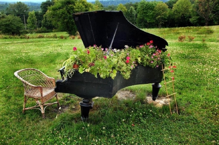 flowered piano - flowers, piano, nature, garden, field