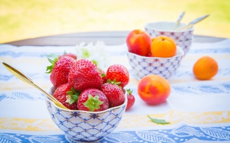 Fruits - apricot, strawberry, delicious, photography, food, fruits, healthy