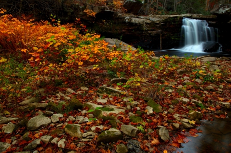 Mill Creek Waterfall - virginia, autumn, trees, water, waterfall, mill creek, foliage, creek, fall, rock, forests, waterfalls, wallpaper, west virginia, nature, leaves, new