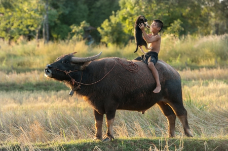 Boy and dog - pretty, beautiful, dog face, puppies, lovely, playful dog, sweet, playful, dogs, cute, face, puppy, animals