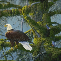 TREE TOP TRAVELER