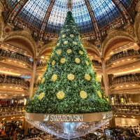 Christmas Tree In Paris