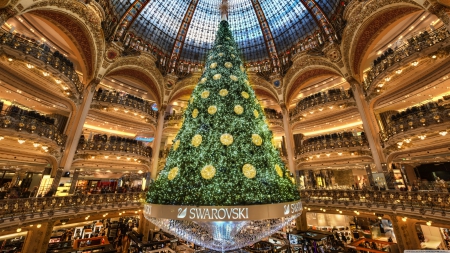 Christmas Tree In Paris - Christmas Tree In Paris, Christmas Tree, christmas tree, christmas in paris, christmas in france