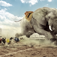 Houndephant Race