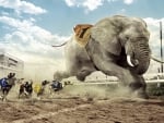 Houndephant Race