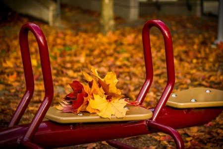 Autumn Leaves - nature, bokeh, autumn, fall, leaves, splendor, autumn splendor, autumn leaves