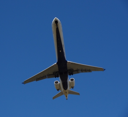 Graceful Wings - airplane, jet, aircraft, plane, jet plane