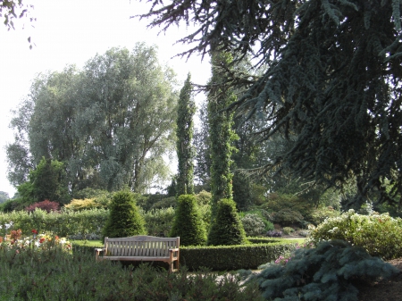 Bridgemere Gardens Park - trees, Bridgemere, park, gardens