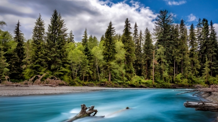 river hoh in olympia national forest washington - river, clouds, logs, forest