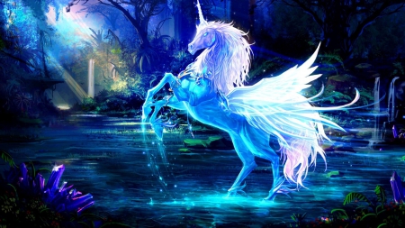 unicorn - night, wings, horse, unicorn