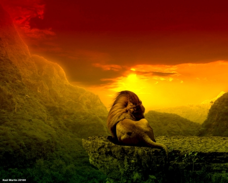 lion of judah wallpaper