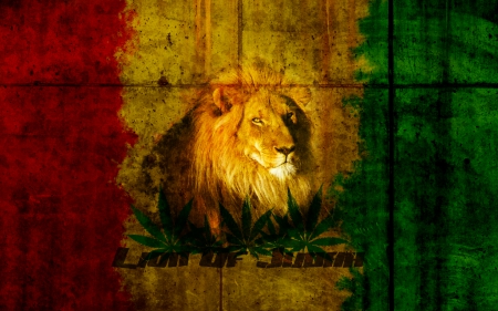 lion of judah - rasta, lion, jah, judah