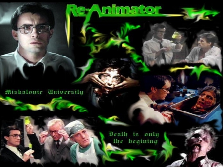 Re Aminator - Re Aminator, Horror Movies, Horror, Horror Movie