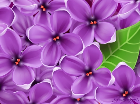 LILACS - flowers, purple, creation, lilacs