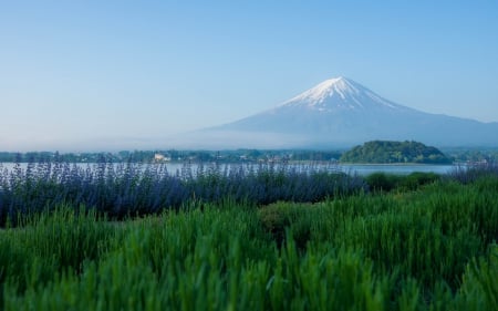 Mount Fuji - rising, of, sun, mount, fuji, land