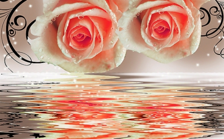 Flower art - flowers, rose, reflection, art