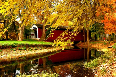 Autumn park - creek, grass, reflection, leaves, golden, falling, covered, branches, trees, pond, fall, nature, season, autumn, foliage, bridge, park