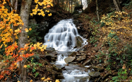 autumn waterfalls - nature, autumn, forests, water, waterfalls