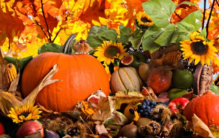 Autumn harvest - yellow, harvest, pumpkin, flower, orange, grapes, autumn, green, fruit, apple