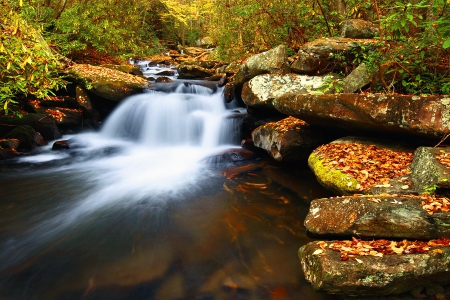 Autumn fall - falling, forest, rocks, foliage, creek, beautiful, quiet, leaves, nature, stream, fall, waterfall, stones, serenity, season, nice, lovely, trees, calm