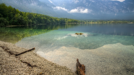 beautiful lake bohinj in slovenia - lake, mountain, forest, clouds, clear, shore