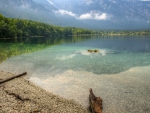 beautiful lake bohinj in slovenia