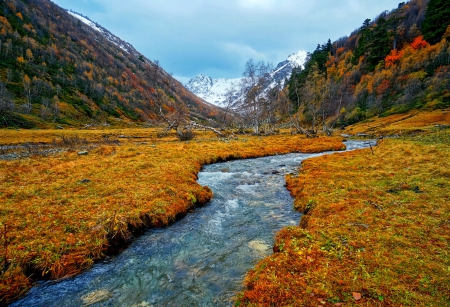 Mountain River - autumn, fall, trees, snow, river, water, mountains, rocks