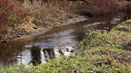 The Look Of Nature - The Look Of Nature, nature pond, nature woods, nature forest