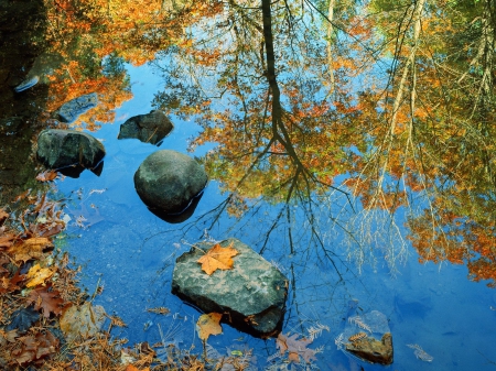 *** Autumn reflection *** - fall, river, nature, autumn, reflection