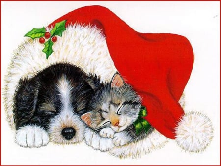 Staying warm - puppy, christmas, santa hat, kitten