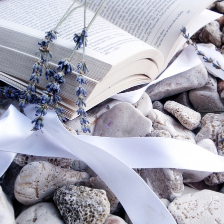 Summer Memories - summer, flower, book, soft