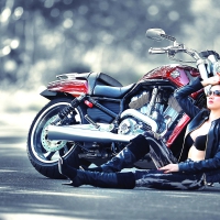 Harley Model