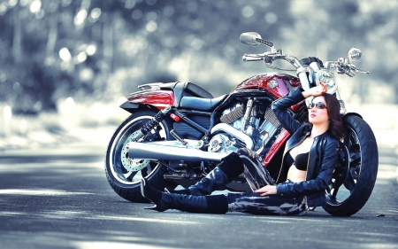 Harley Model - vehicles, motorcycles, bikes, beautiful, harley, models, asian, sexy