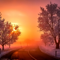 November Wallpapers - Page 2 - Desktop Nexus