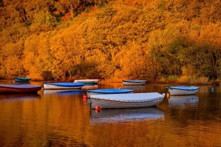 Boats in autumn lake - quiet, lonely, tranquil, forest, leaves, calmness, shore, lake, trees, beautiful, fall, boats, nature, season, autumn, serenity, foliage