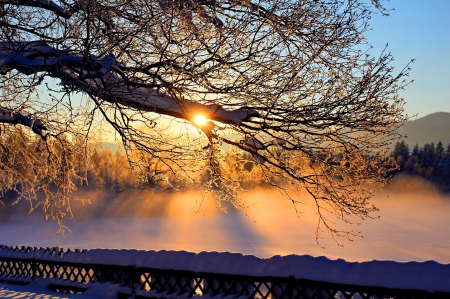 Winter sunset - nice, water, sunset, reflection, cold, river, tree, snowy, morning, rays, branches, lake, sunlight, day, winter, shore, lovely, glow, nature, pier, snow, beautiful, sunrise