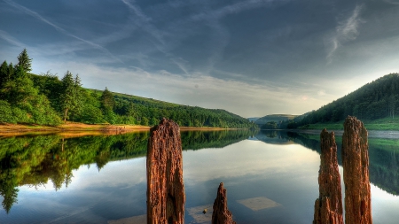 beautiful stalagmites by a river - river, stalagmites, forest, reflection