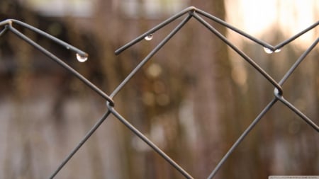 Mesh fence - fall, wallpaper, rain, abstract, raindrops, hd, drops, fence, photography, macro, nature, close-up, autumn