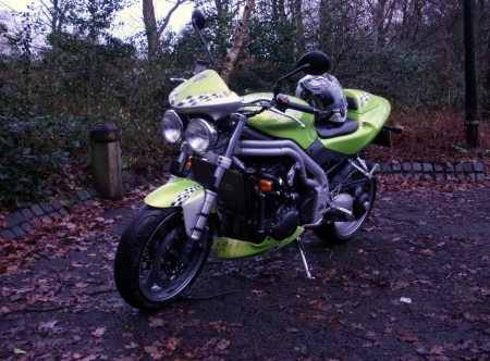 Triumph Speed Triple - speed triple, 2003, speed, triumph, 955i, british, motorbike, motorcycle