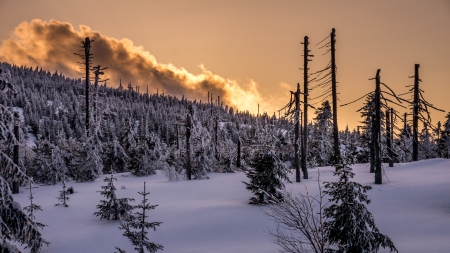 sunset over a wintry hill - hill, sunset, forest, clouds